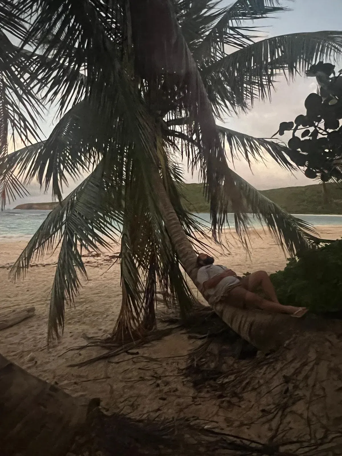 A person lying in the shade of a palm tree on a pale sand beach, the sea flat behind them.
