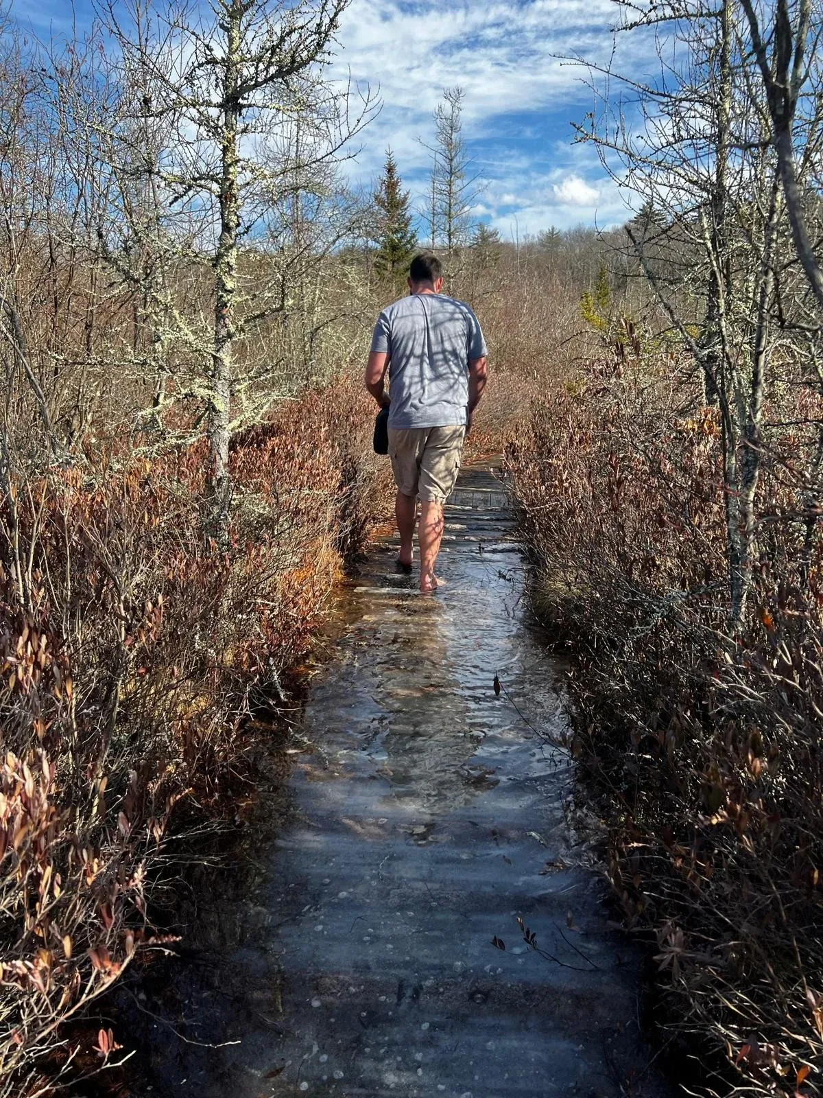 A figure walking away down a flooded trail through bare winter scrub.
