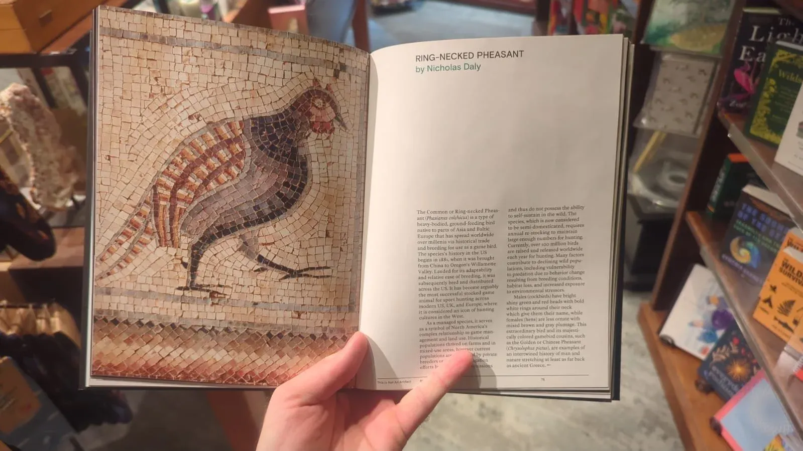 Hands holding open a large book to a full-page reproduction of a mosaic bird, in a crowded bookshop.