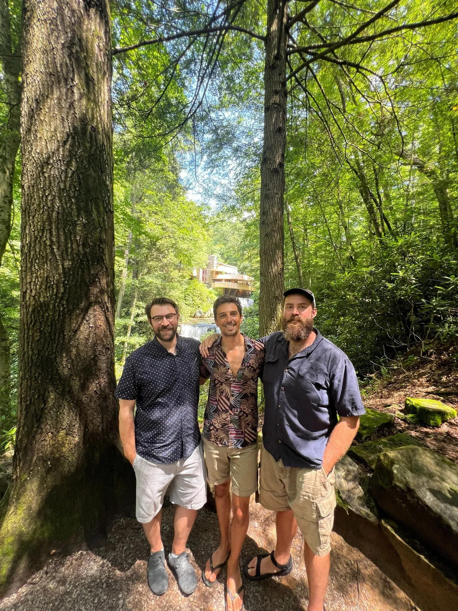 Three people standing at the foot of an enormous tree trunk in summer woodland.