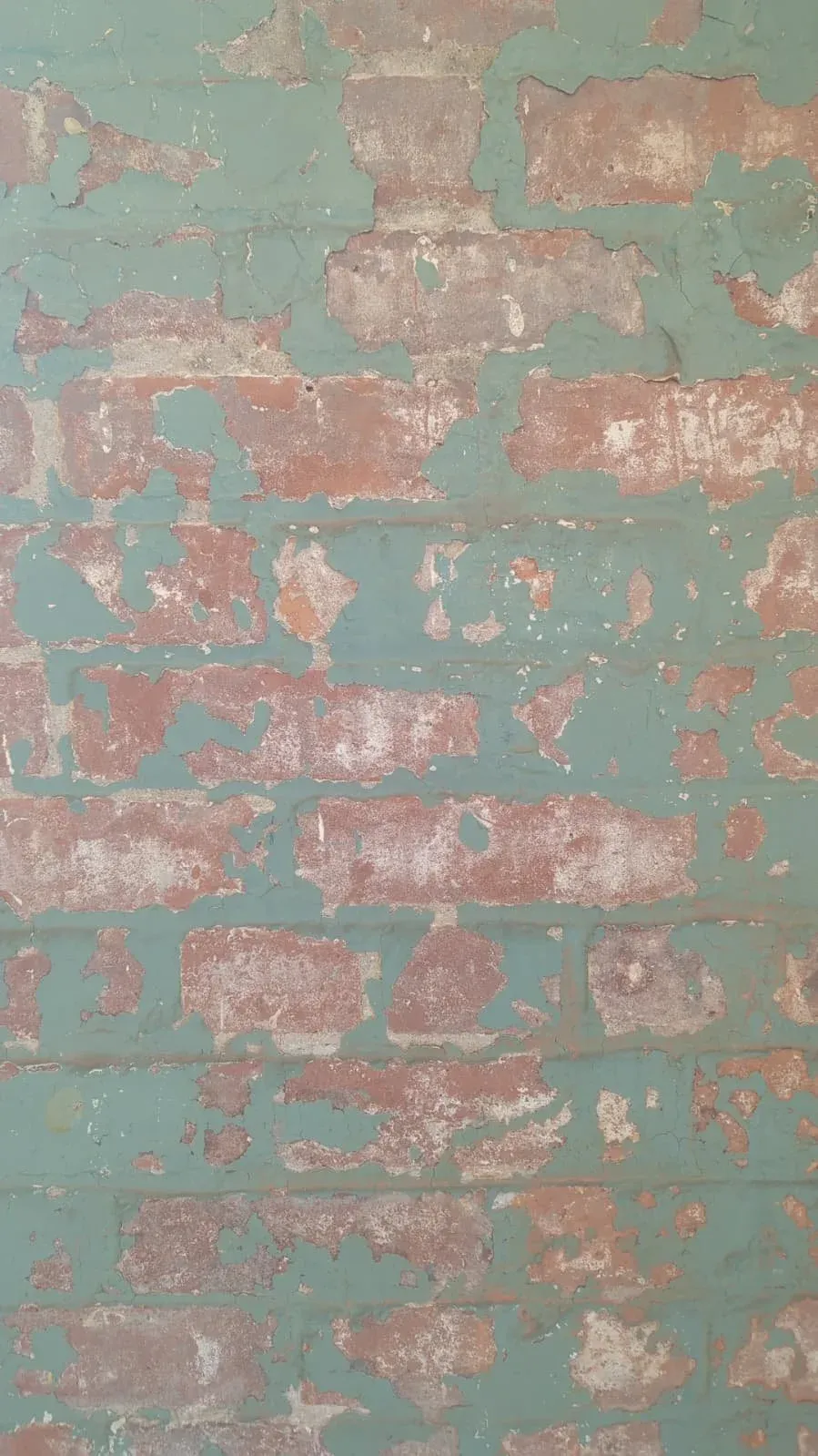 A brick wall with flaking green-grey paint, the red brick showing through in patches.