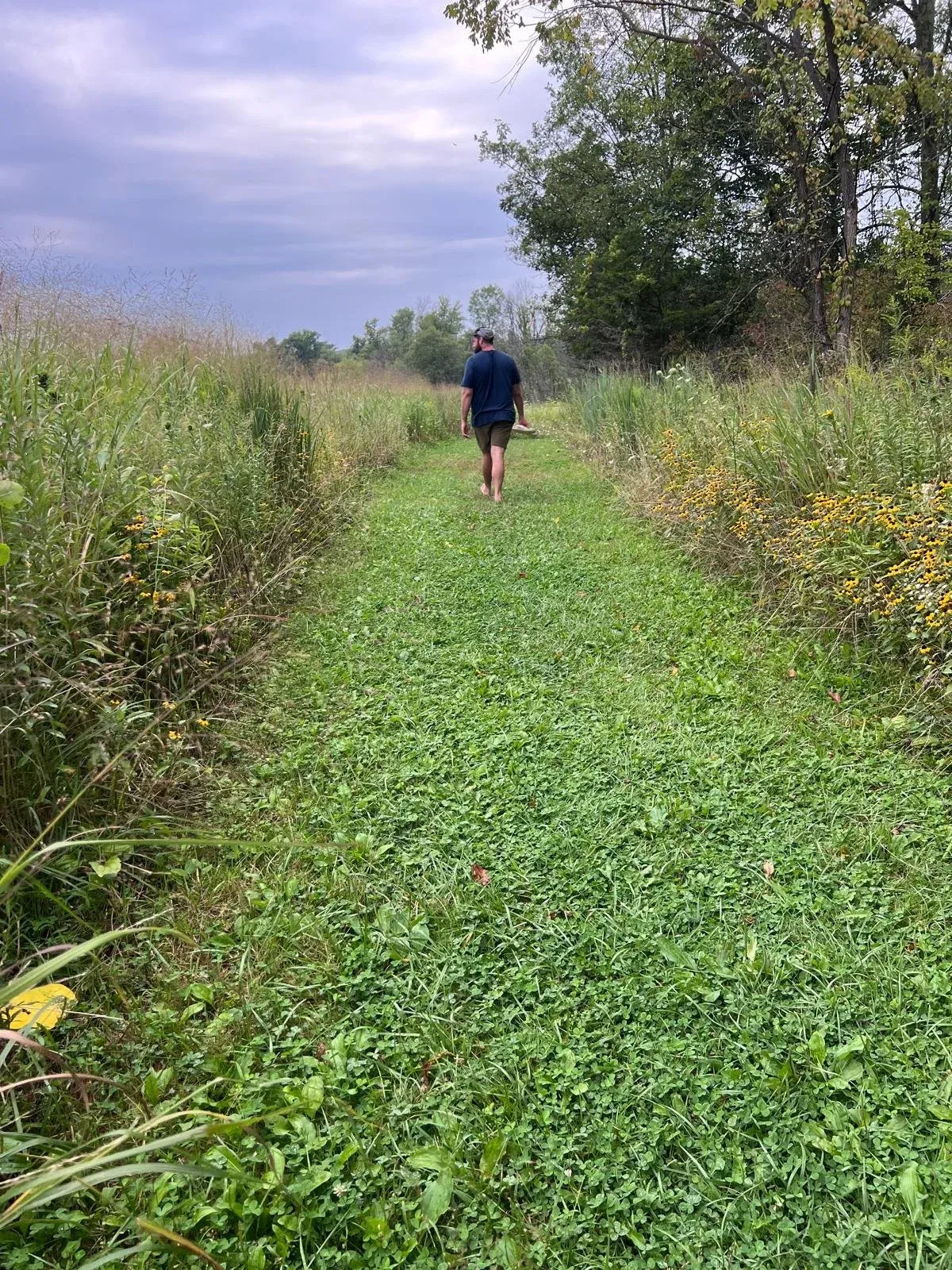 A person walking away along a mown grass path cut through a summer meadow under a heavy sky.