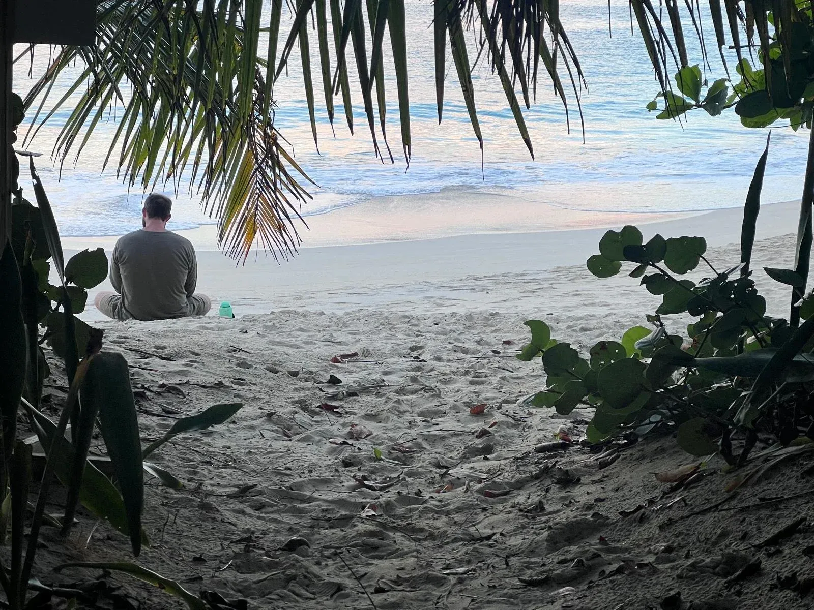 A person sitting on a beach beneath palm fronds, looking out at pale turquoise water.