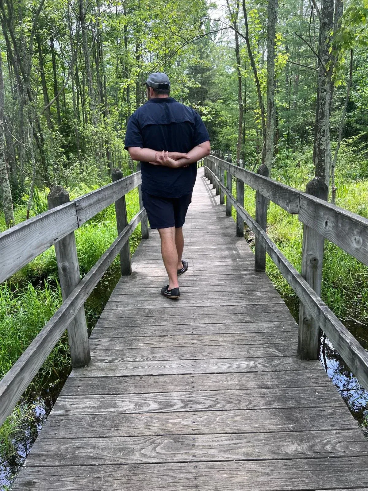 A man walking a raised wooden boardwalk through dense green woodland.