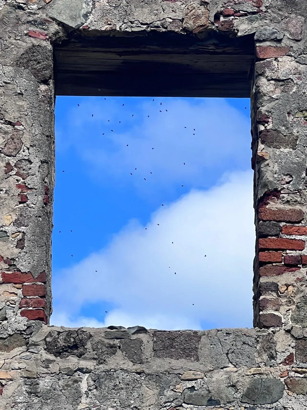 Blue sky and a single cloud framed by the empty window of a ruined stone building.